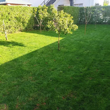 Casa Radu Mexilhoeira Grande